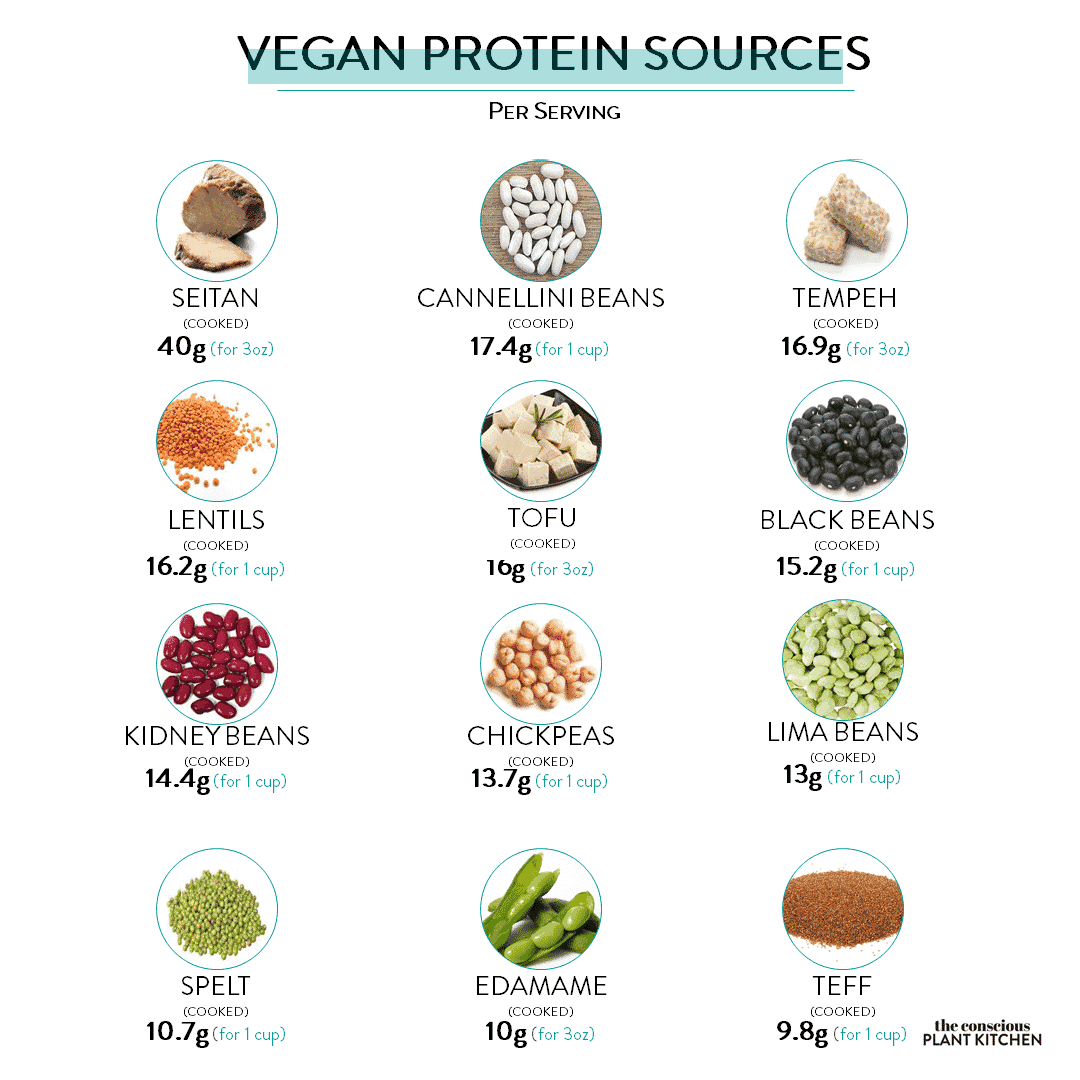 Best Vegan Protein Sources The Conscious Plant Kitchen