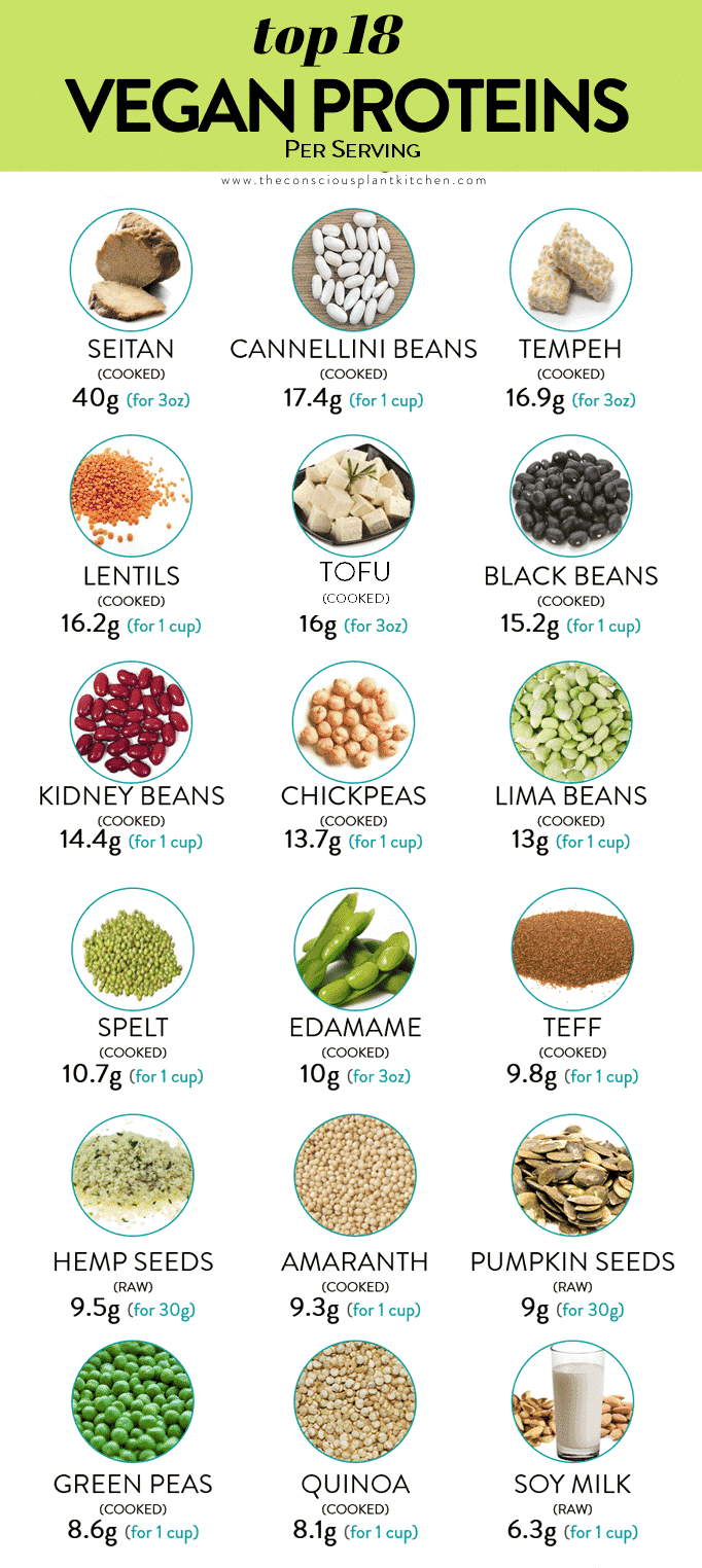 Best Vegan Protein Sources The Conscious Plant Kitchen