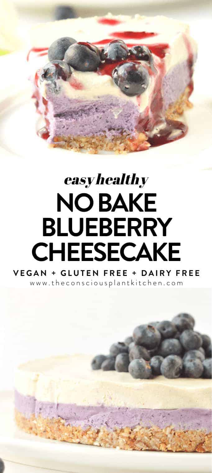 Vegan Blueberry Cheesecake (Raw And Healthy) - The Conscious Plant Kitchen