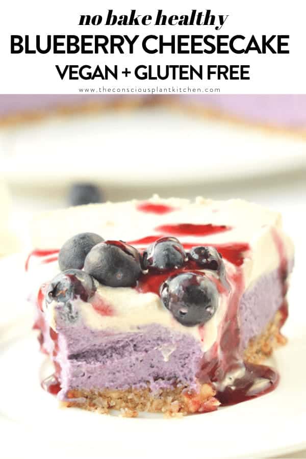 Vegan Blueberry Cheesecake (Raw And Healthy) - The Conscious Plant Kitchen