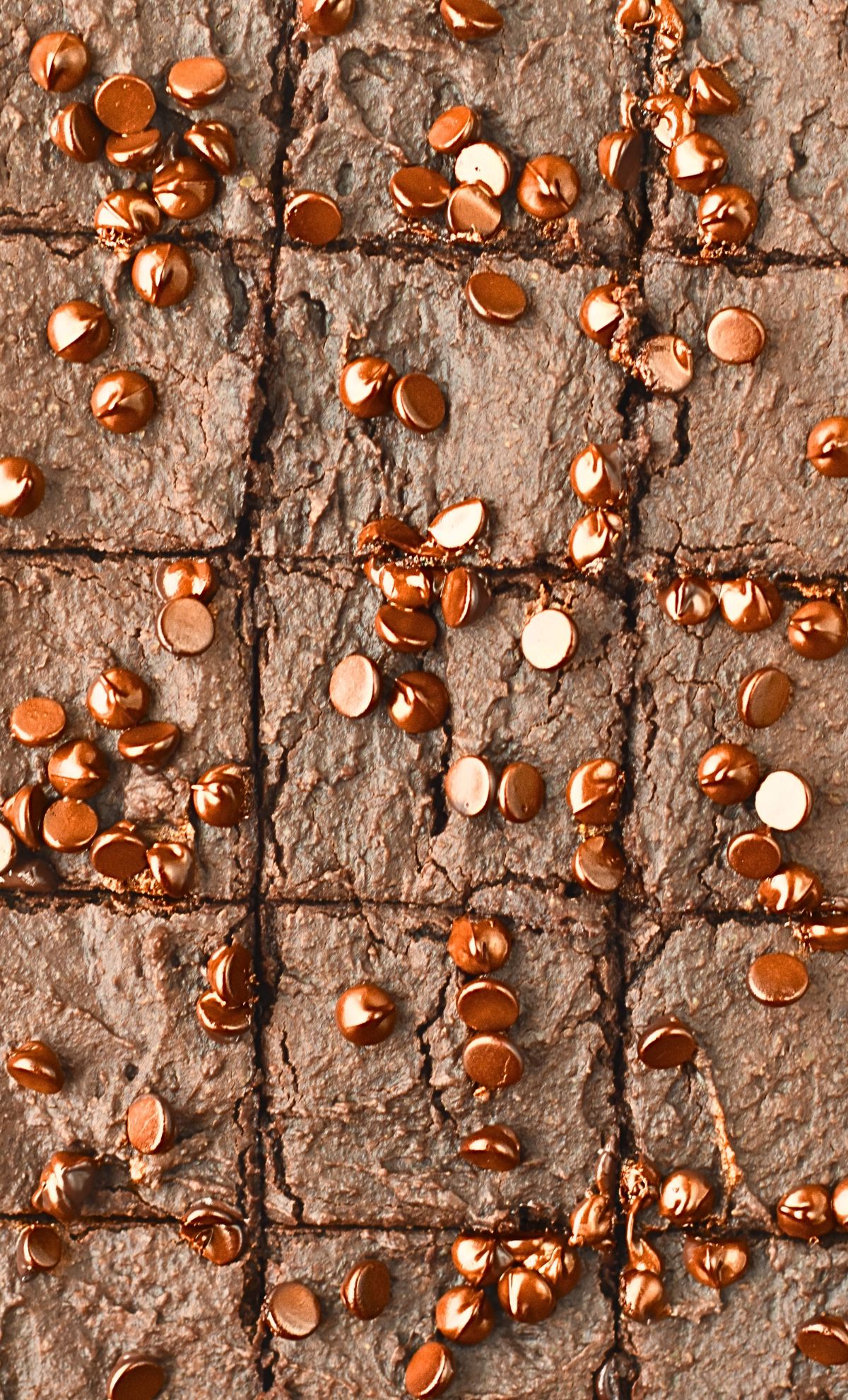 Chickpea Brownies sliced.