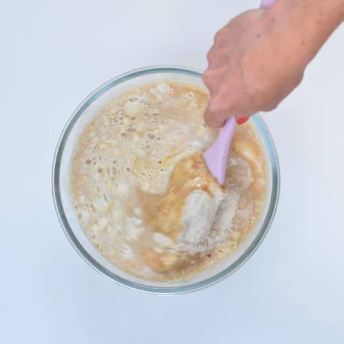 Mixing the Buckwheat Blueberry Muffin batter.