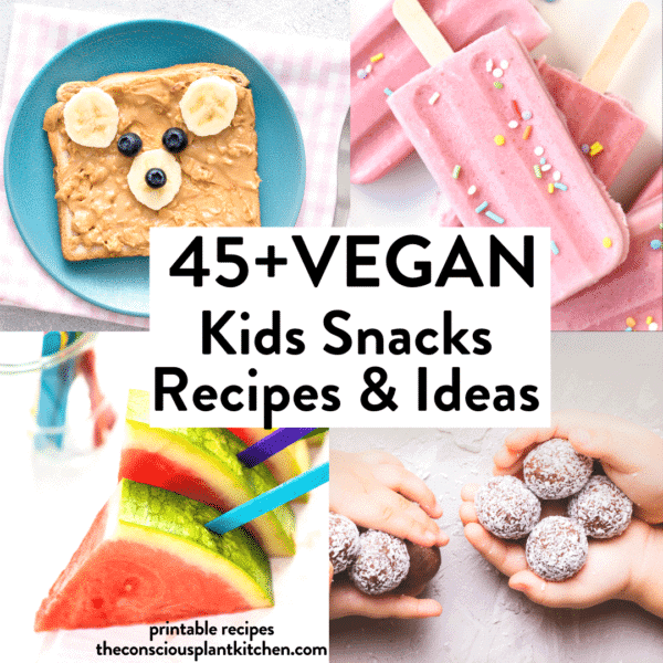 45-vegan-snacks-for-kids-the-conscious-plant-kitchen