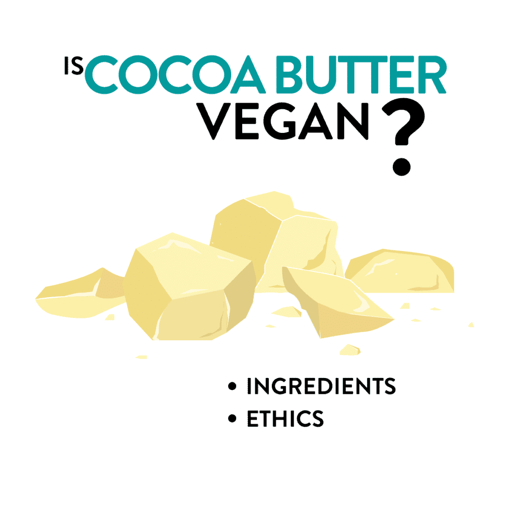 is-cocoa-butter-vegan-the-conscious-plant-kitchen