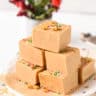 2-Ingredient Fudge - The Conscious Plant Kitchen