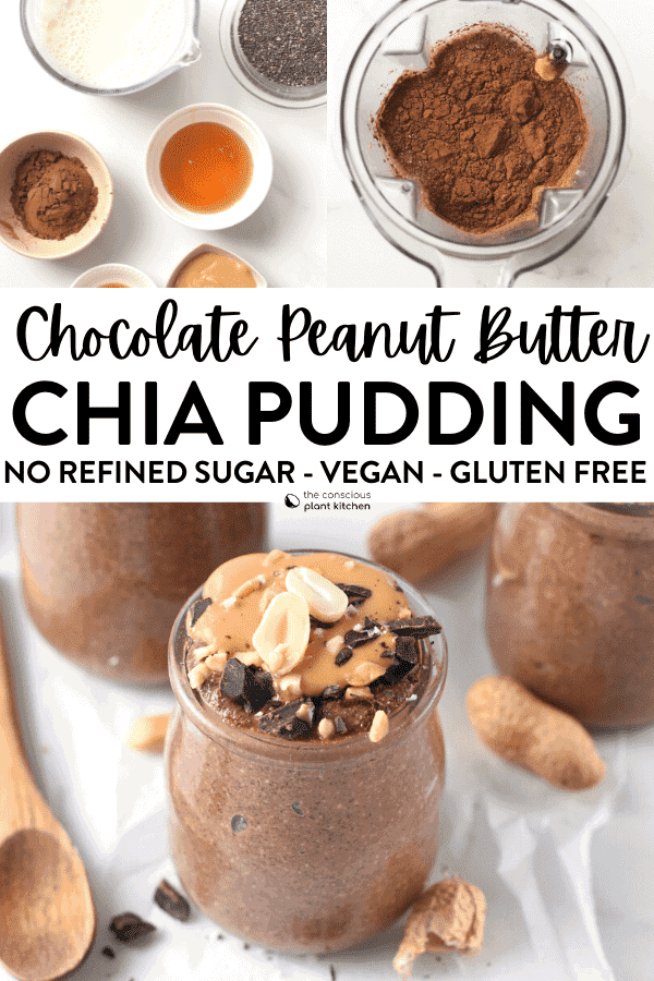 Chocolate Peanut Butter Chia Pudding - The Conscious Plant Kitchen
