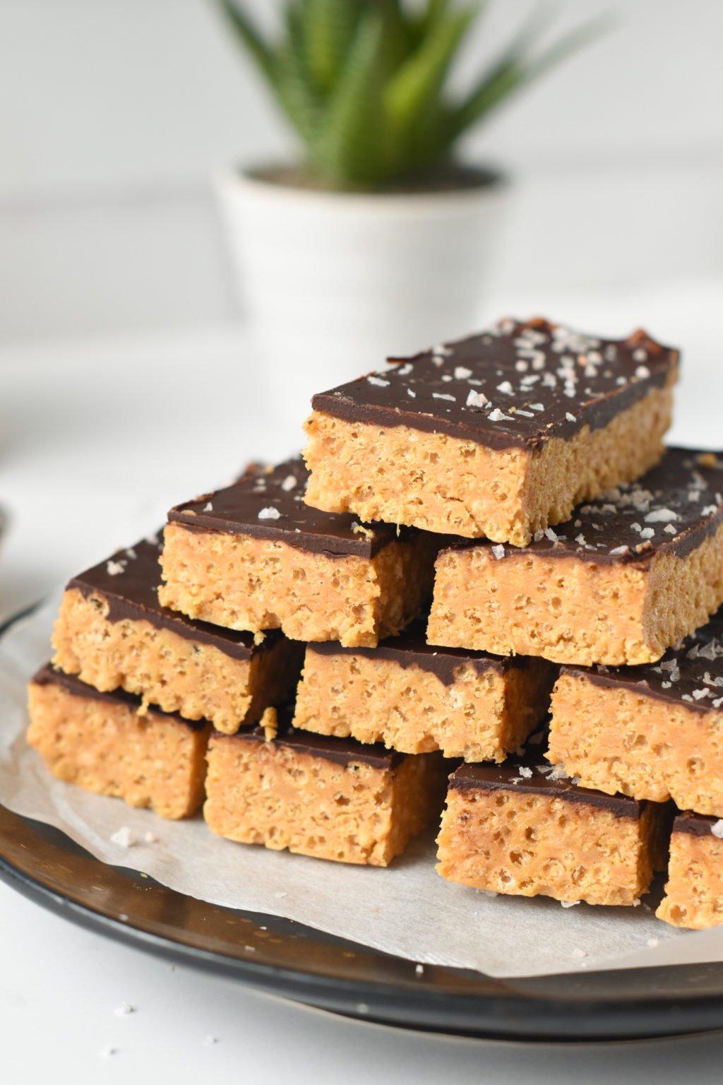 protein-cereal-bars-12g-protein-vegan-the-conscious-plant-kitchen