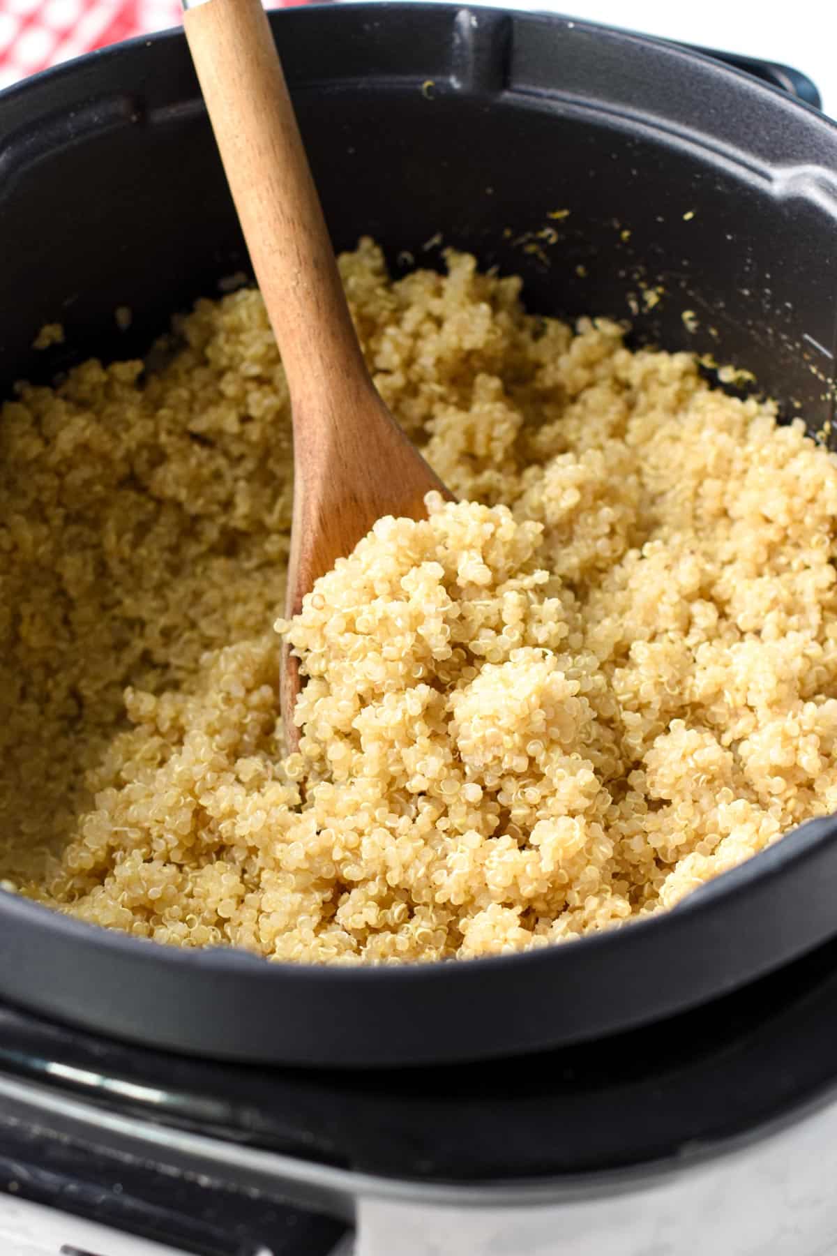 How To Cook Quinoa In A Rice Cooker - The Daily Dish