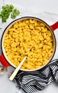 Butternut Squash Mac And Cheese (Vegan) - The Conscious Plant Kitchen