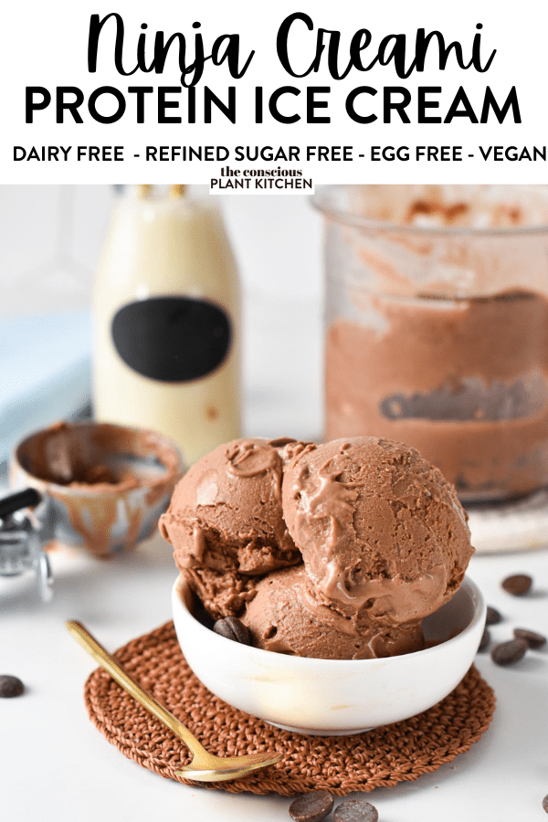 Plant-based and Dairy-based Protein Ice Creams for the Ninja CREAMi