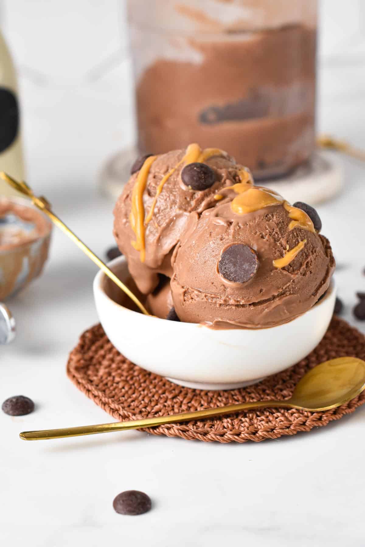Chocolate Protein Ice Cream (Ninja Creami Recipe) - Basics with Bails