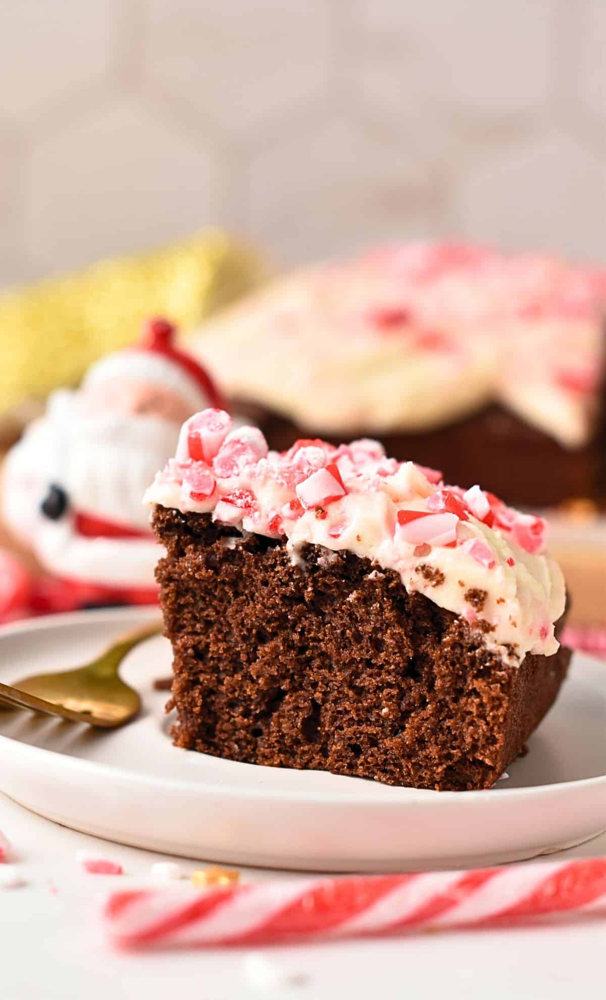 Slice of Chocolate Peppermint Cake