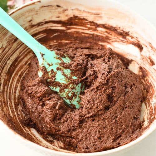 Chocolate Yogurt Cake batter mixed in a bowl.