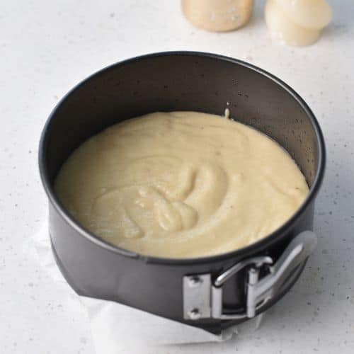 Vegan Gluten-Free Cake dough in a pan.