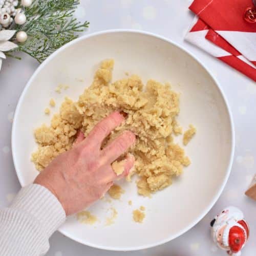 Working the Almond Flour Biscotti dough