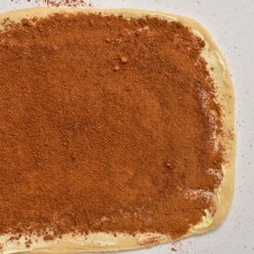 Adding cinnamon to Healthy Cinnamon Roll dough.