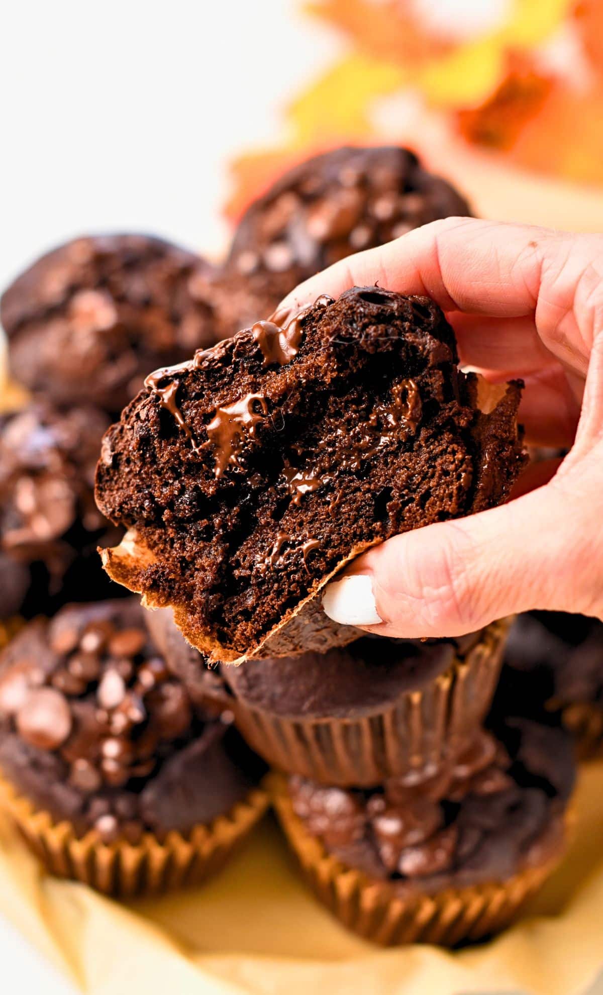 Sweet Potato Chocolate Muffins