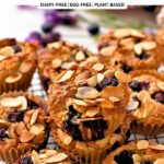 Almond Flour Blueberry Muffins