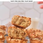 Almond Flour Muffins