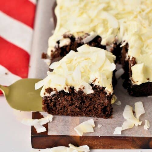 Chocolate Coconut Cake (No Dairy, No Eggs, 1 Bowl)