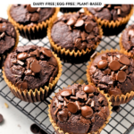 Healthy Chocolate Muffins