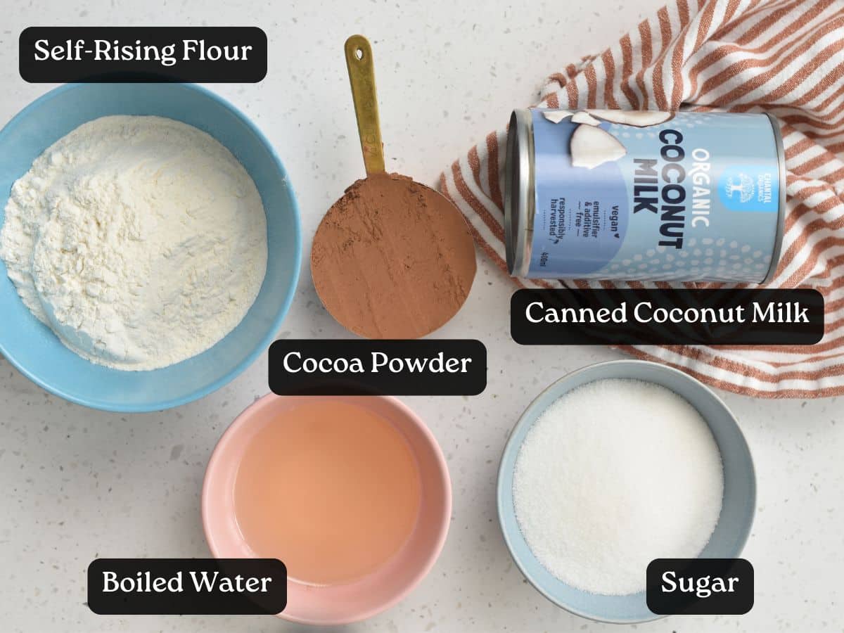 Ingredients for Chocolate Coconut Cake