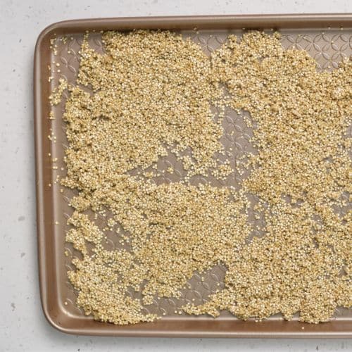 Quinoa ready to toast on a pan.