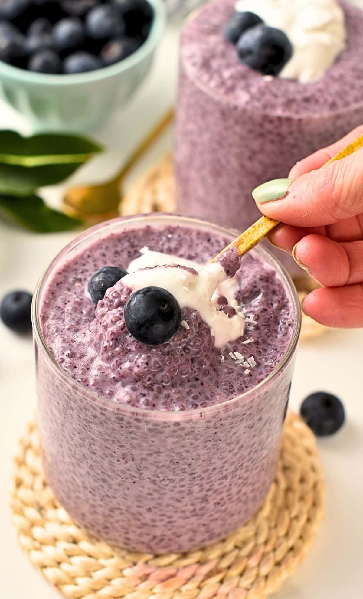 Blueberry Chia Pudding