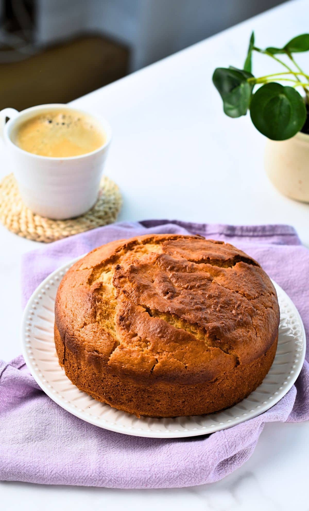 Condensed Milk Cake