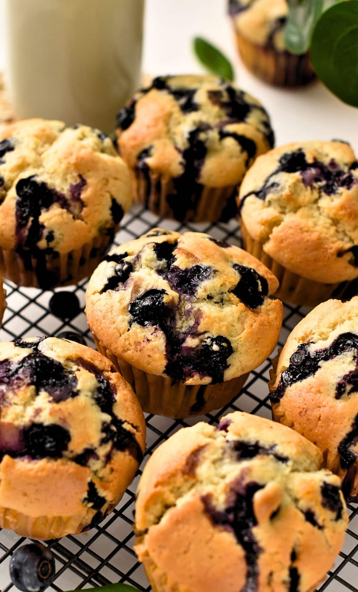 Easy Blueberry Muffins