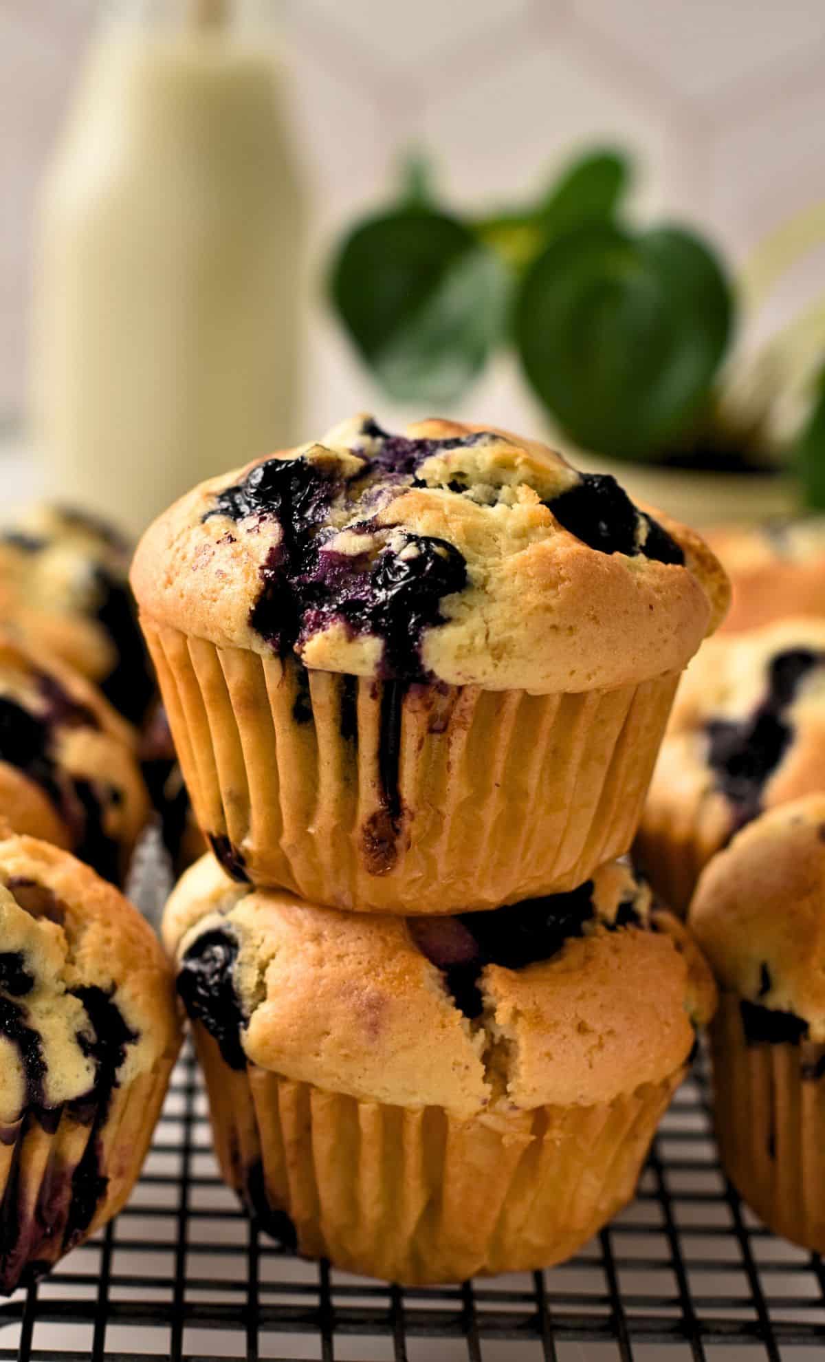 Easy Blueberry Muffins