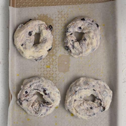 Blueberry Bagels on a baking sheet ready to bake.