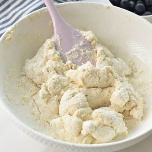 Blueberry Bagels dough in a bowl