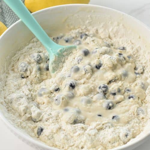 Mixed Blueberry Fritters batter in a bowl.