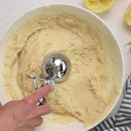 Lemon Yogurt Muffins ready to form into muffins.