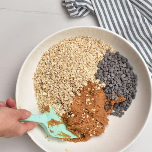 Powdered Peanut Butter Protein Ball ingredients in a mixing bowl.