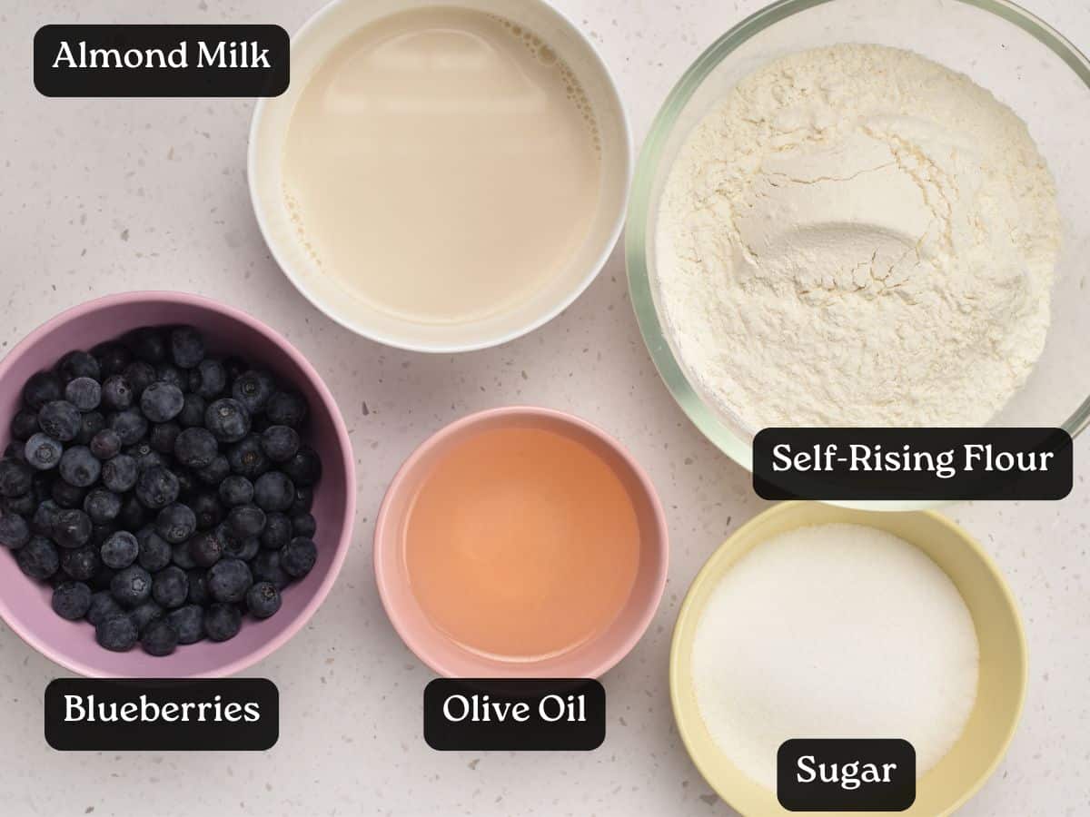 Ingredients for Easy Blueberry Muffins