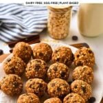 Powdered Peanut Butter Protein Balls