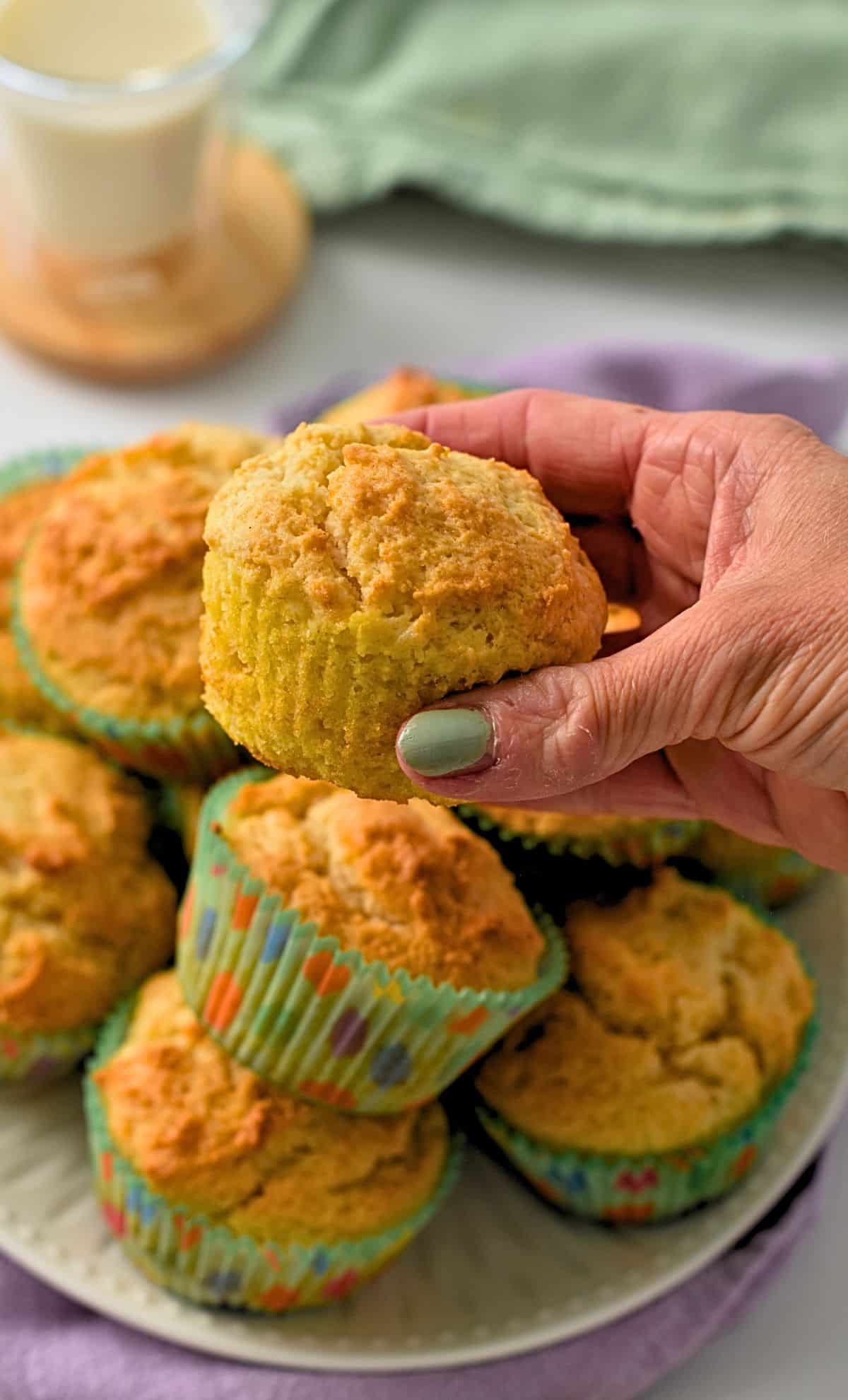 Yogurt Muffins