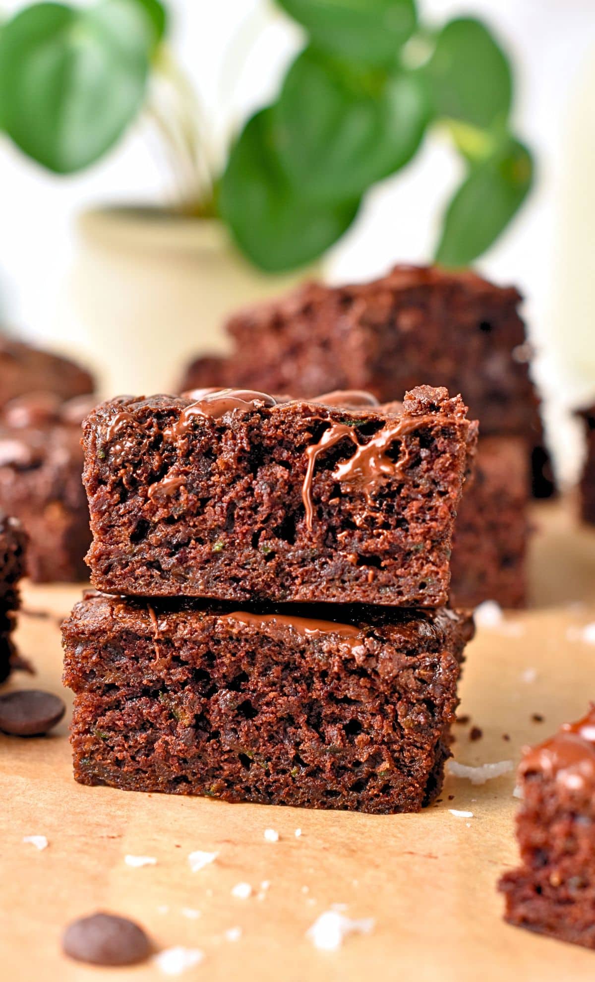 Zucchini Brownies